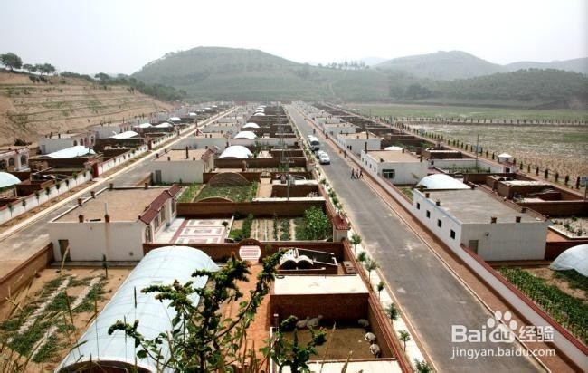 动物医学女毕业生择业攻略