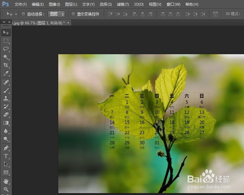 如何用ps制作日历