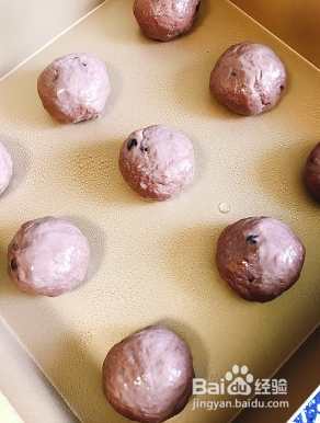 越嚼越好吃的恐龙蛋