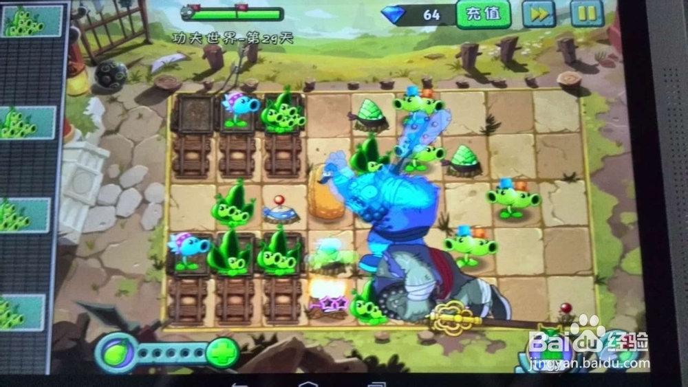植物大战僵尸2功夫世界第29、16天攻略