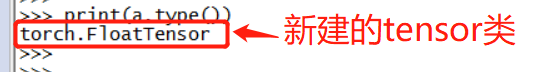 Pytorch tensor的基本属性操作