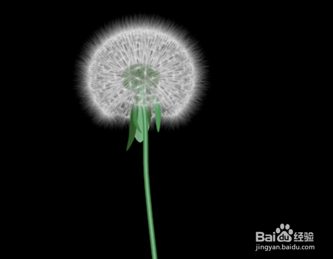 C4D建模--蒲公英