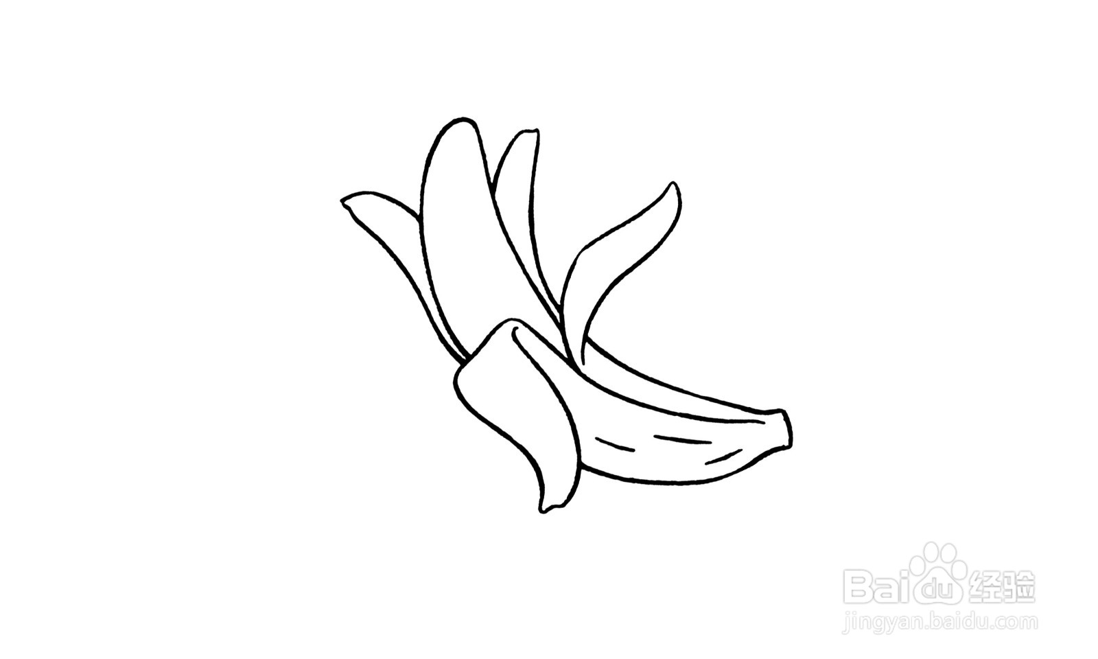 简笔画剥开的香蕉怎么画