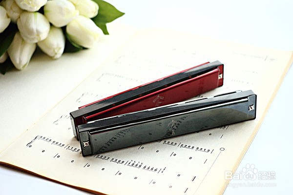 半音阶口琴应该怎么清洗比较好