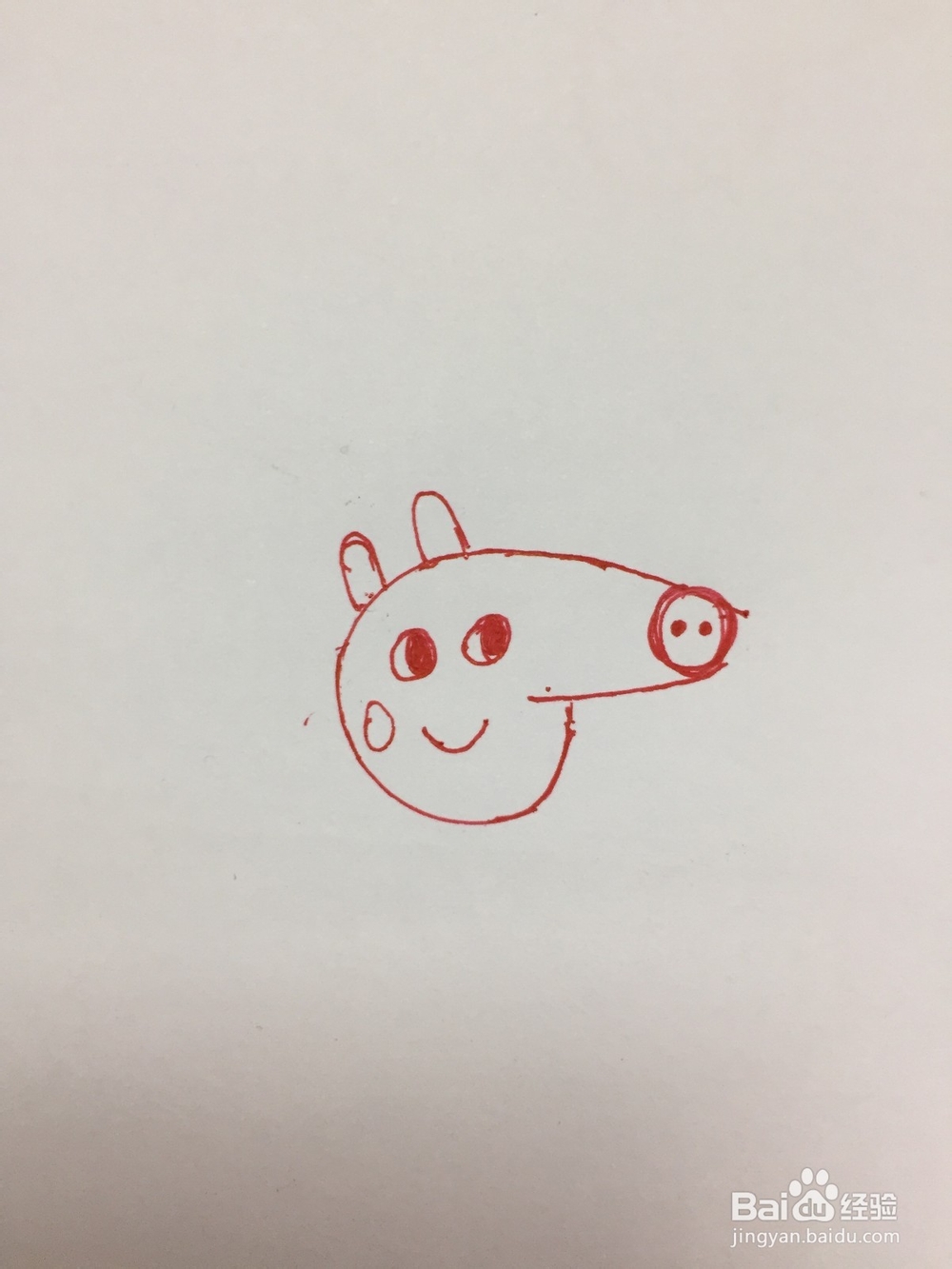 小猪佩奇的简单画法