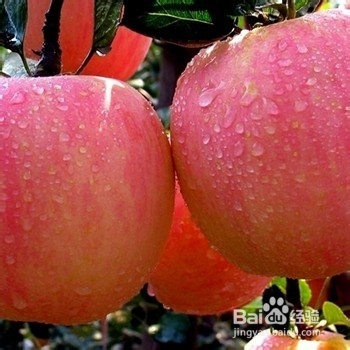 产后丰胸需要注意什么