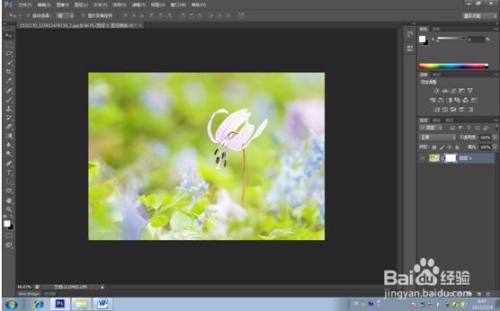 Photoshop中蒙版的使用技巧