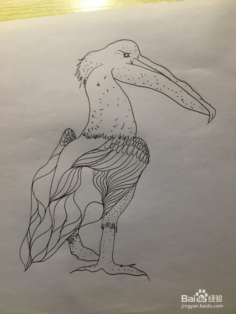 画一只长嘴巴的鸟儿 简笔画之鸟儿 儿童画 线描