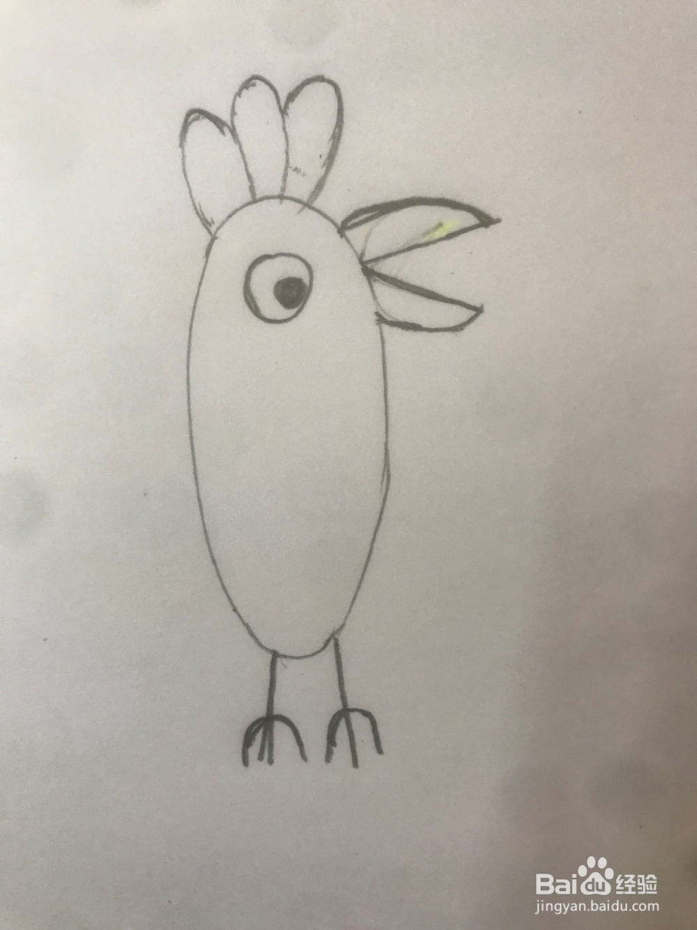 小猪佩琪里的鹦鹉波利如何画