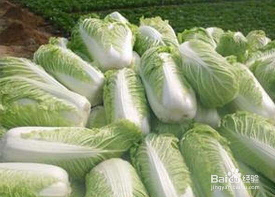 什么菜能够降火？