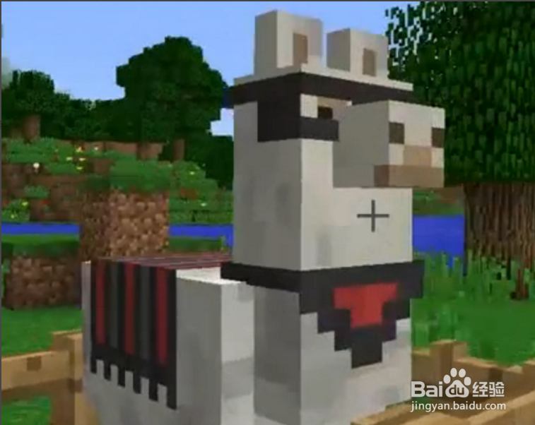 我的世界羊驼怎么骑?