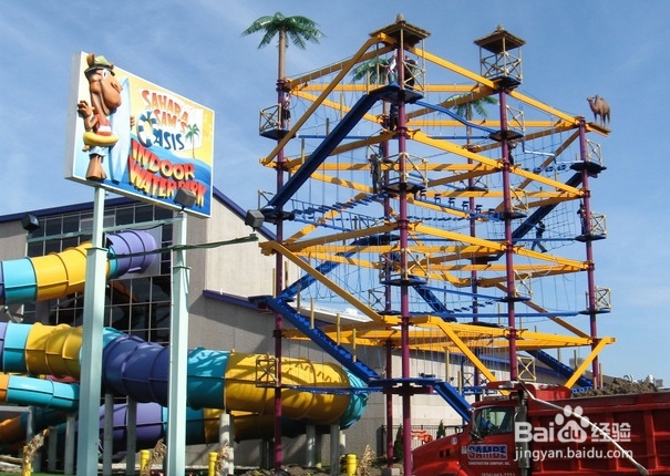 历奇探险 空中步道探险