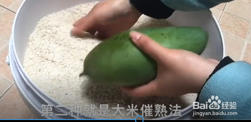 3个快速催熟芒果的小妙招