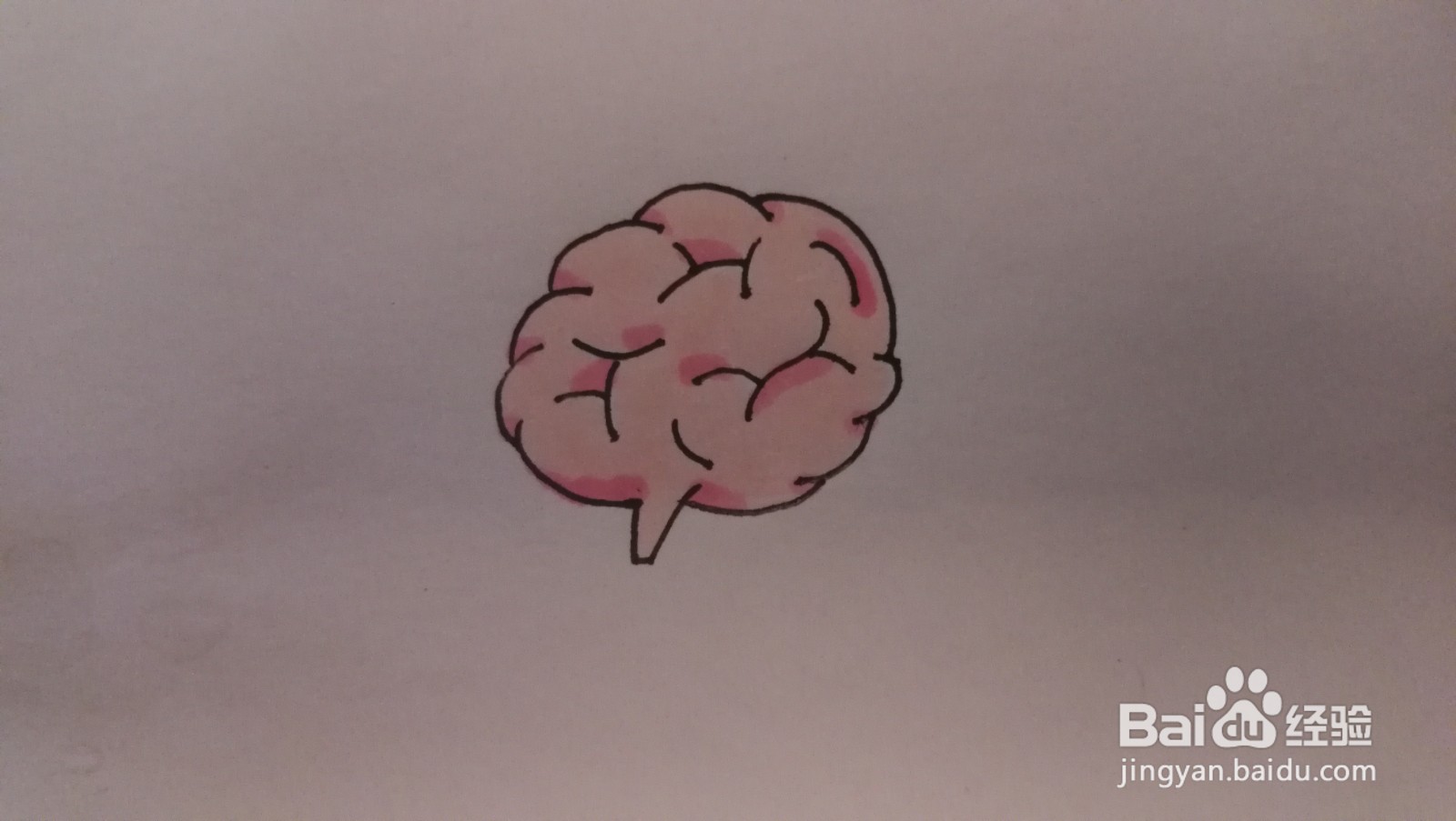 #经验分享官#大脑的简笔画