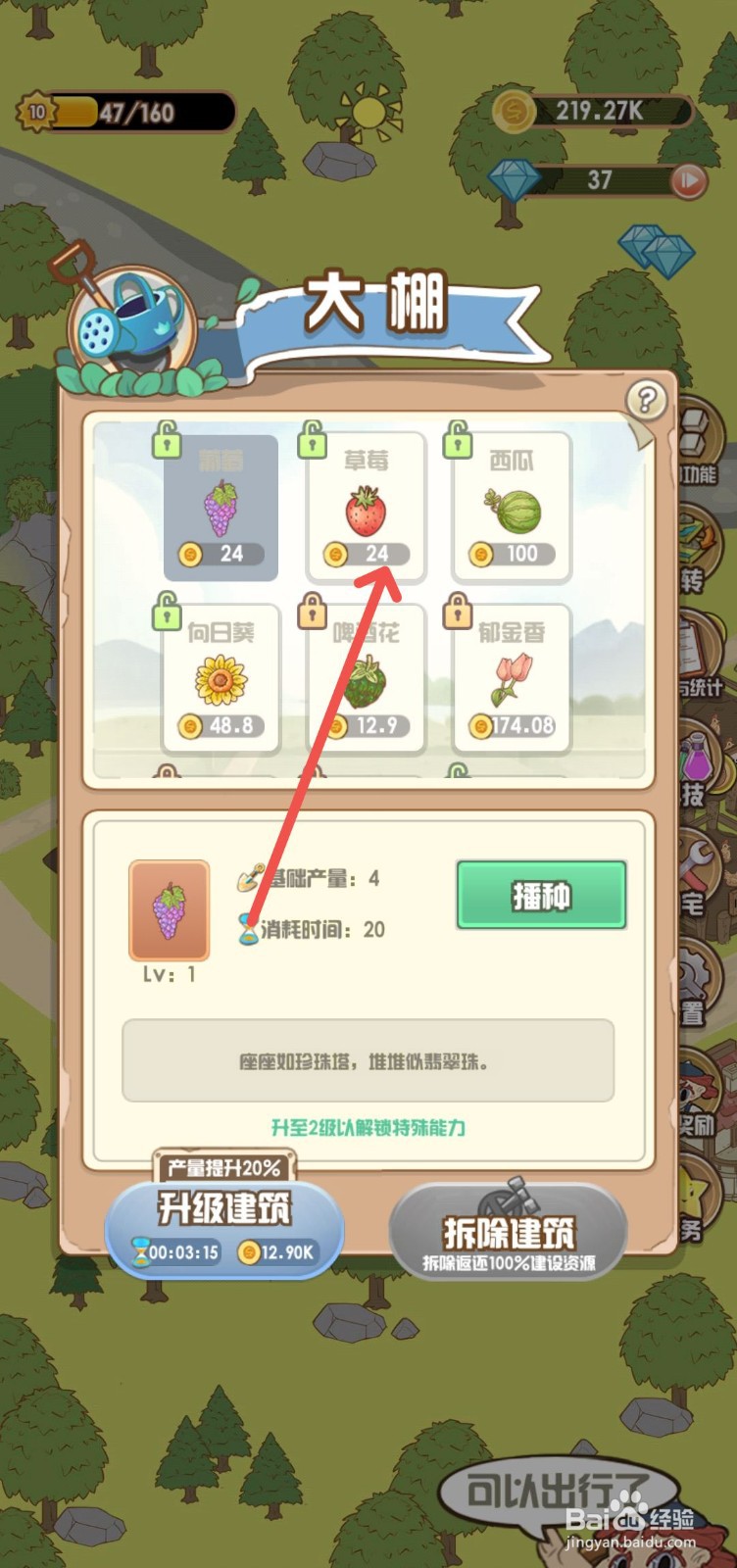 花语农场怎么大棚里播种草莓