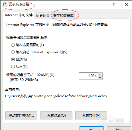 Windows 10允许使用网站缓存和数据库