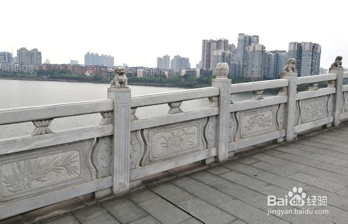如何参观岳阳南湖公园的九孔桥