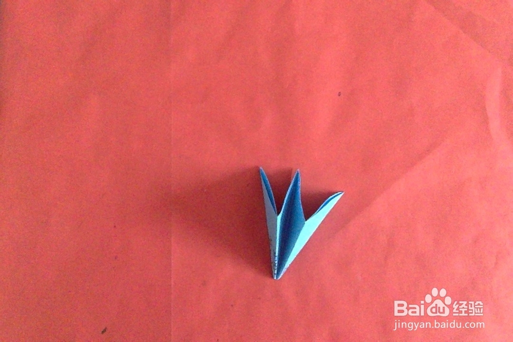 怎样剪边框四瓣花？对称花瓣花样