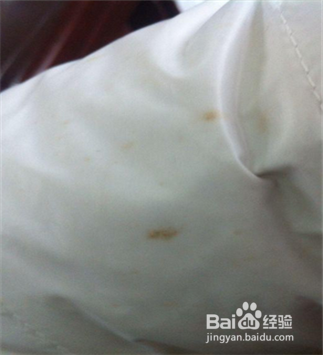 教你羽绒服的正确清洗方法!