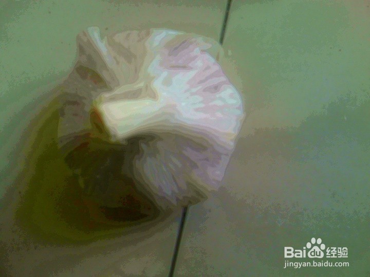 大蒜怎样看是发芽蒜