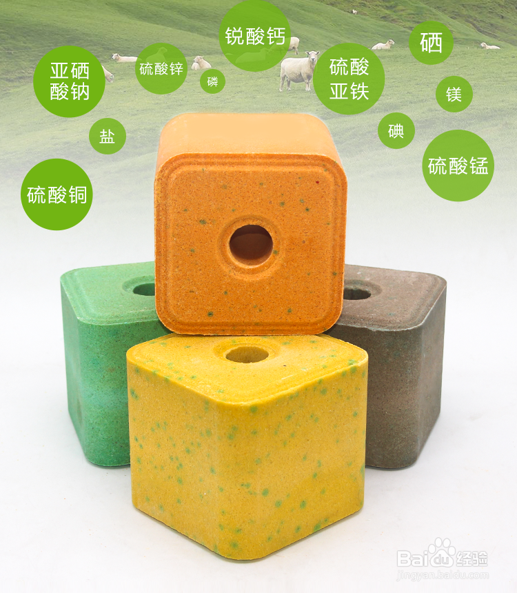 怎么给羊喂盐？