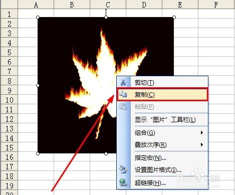 如何保存excel文件里的图片