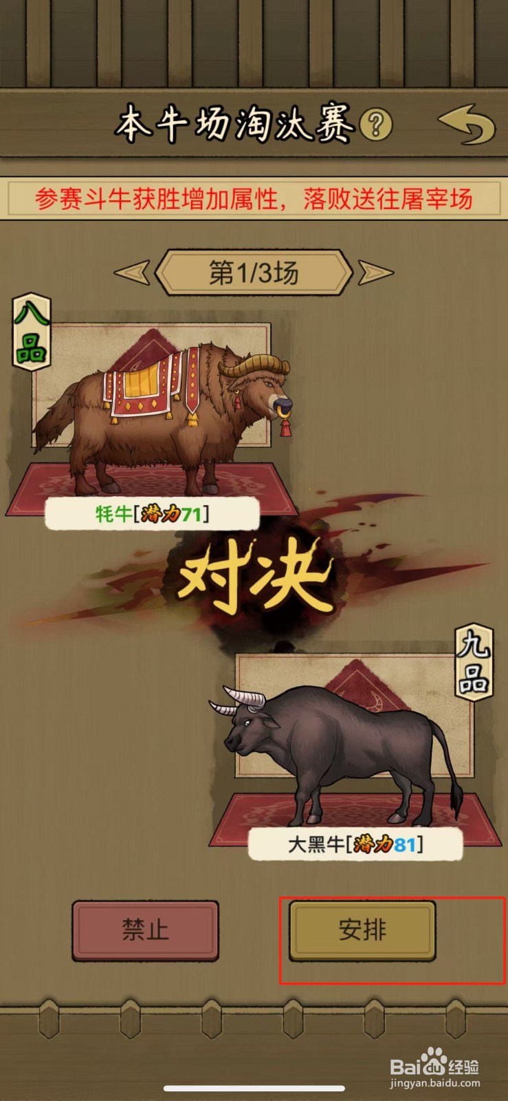 叫我养牛王怎么举报淘汰赛