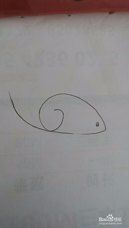 多妈简笔画最简单的老鼠画法