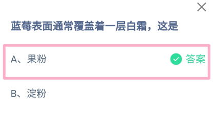 蚂蚁庄园2025.1.2：蓝莓表面覆通常盖着一层白霜