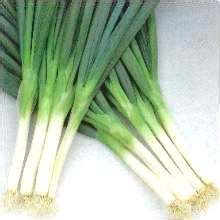 做了人流术后吃什么有助于身体的恢复