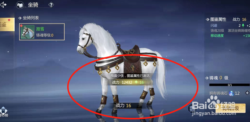 剑侠世界3在哪里激活坐骑图鉴？