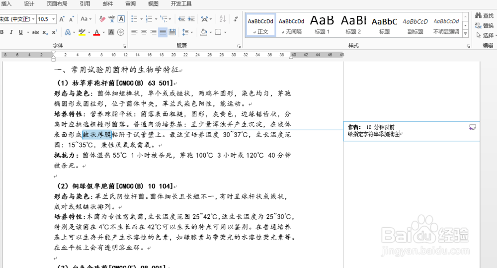 Java 给Word指定字符串添加批注