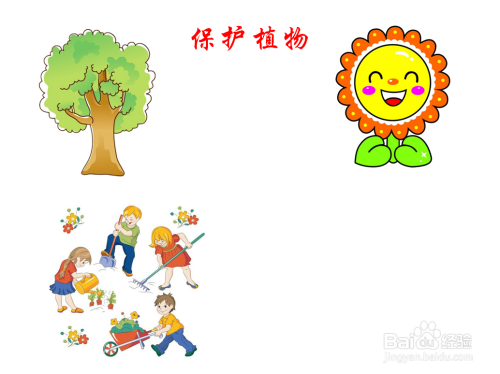 保护植物手抄报内容
