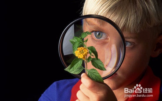 回复：如何让孩子的潜能得到最大的发挥？