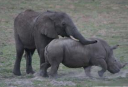 泰国素可泰旅游攻略