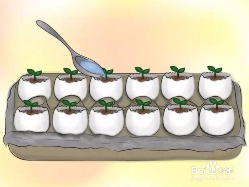 如何巧妙利用鸡蛋壳