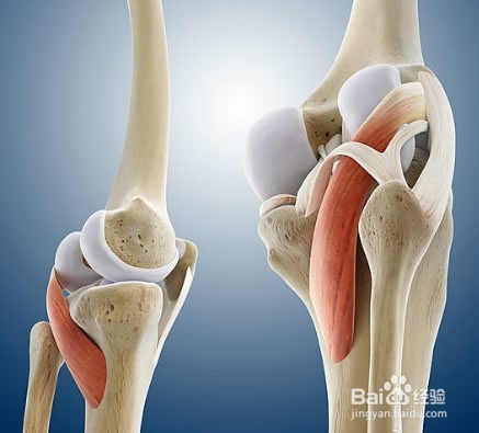 膝盖疼是怎么回事分情况护理膝关节