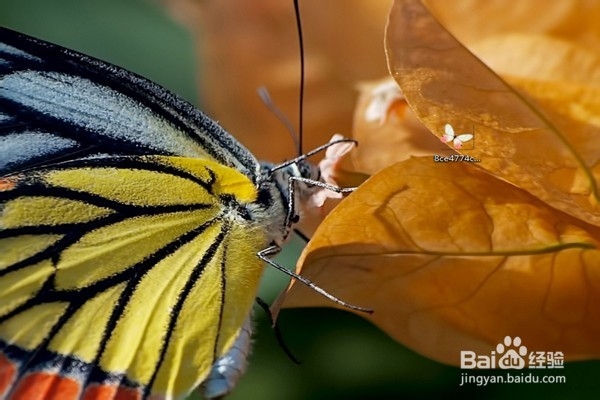 上班族须知电脑文件基本操作：[2]移动复制篇