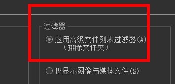 ACDSee过滤器配置为应用高级文件列表过滤器