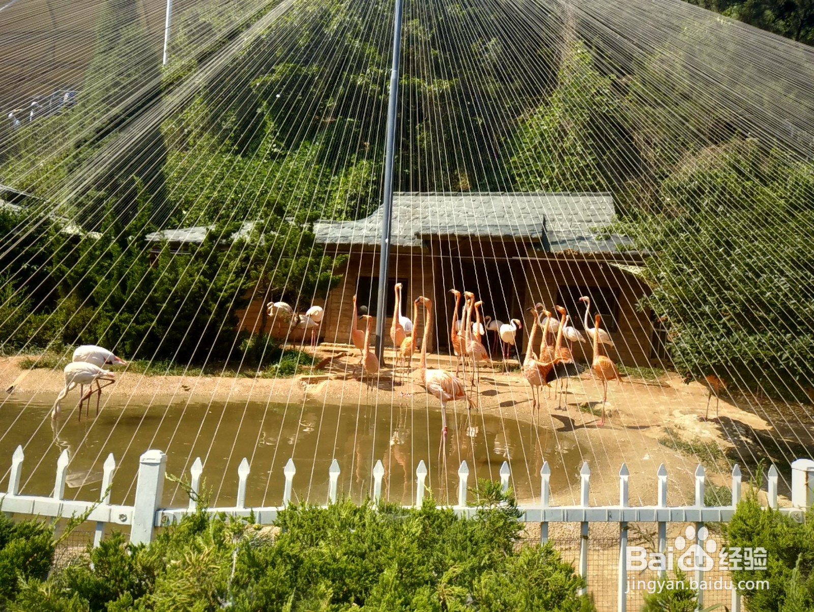 大连老虎滩一日游攻略