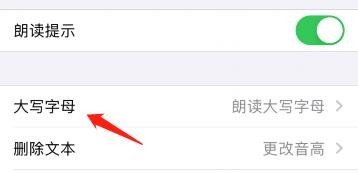 旁白遇见大写字母时怎么更改音高