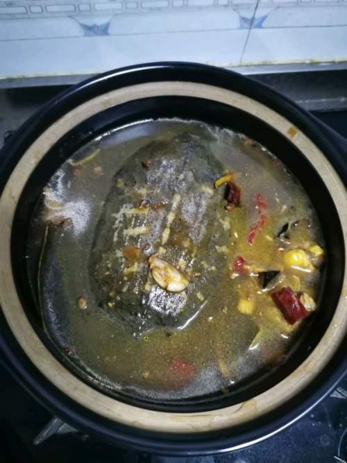 砂锅山药炖野甲鱼