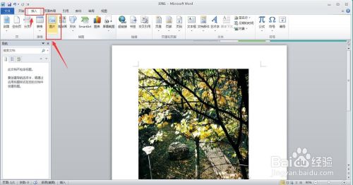 Word 怎么把图片裁剪成圆形 百度经验
