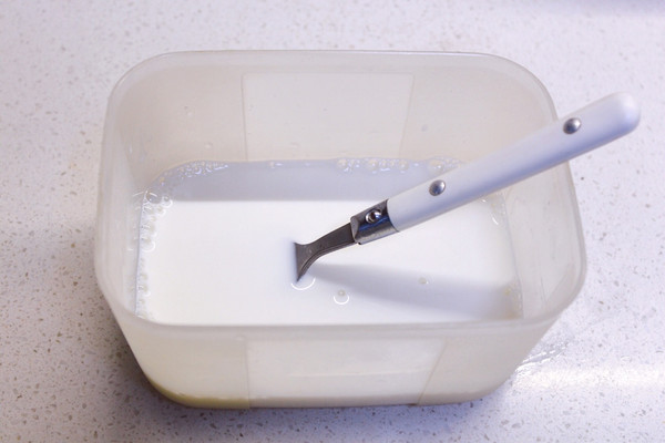 蜜豆奶酪小布丁