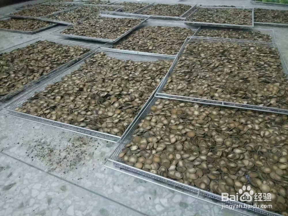 智能热泵烘干机具备的特性智能烘干机的控制逻辑