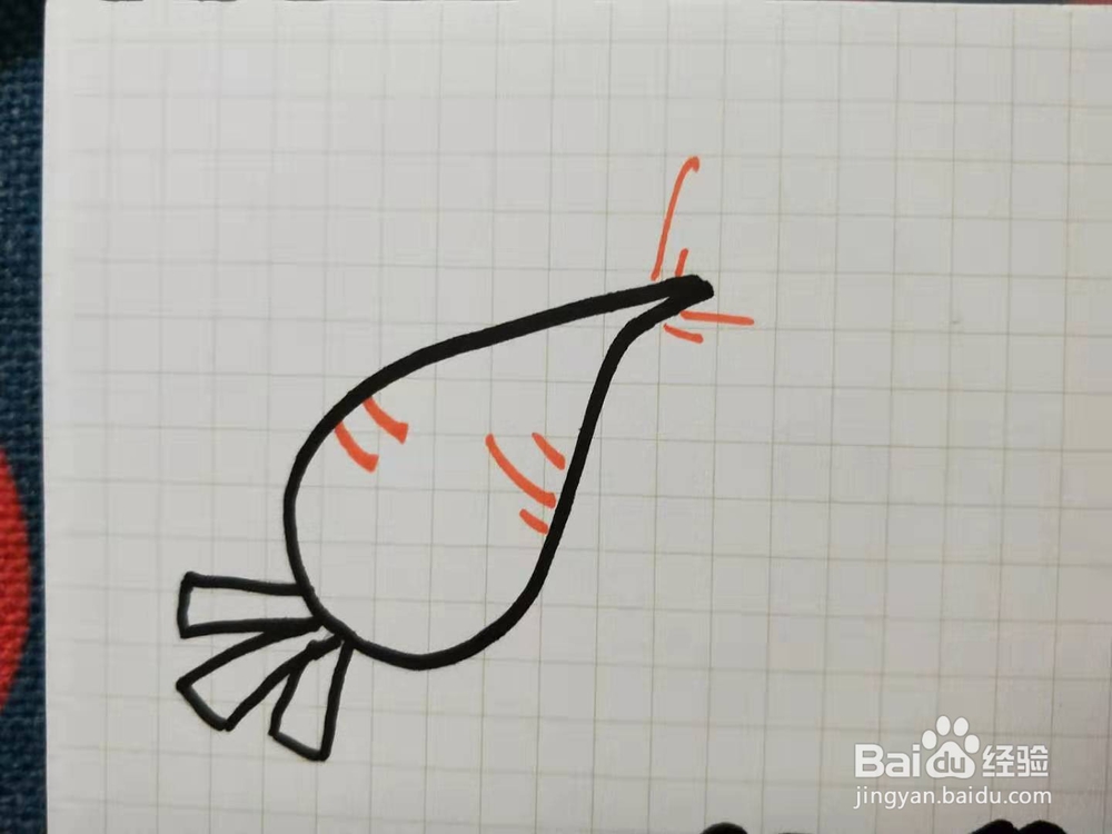 如何画胡萝卜简笔画