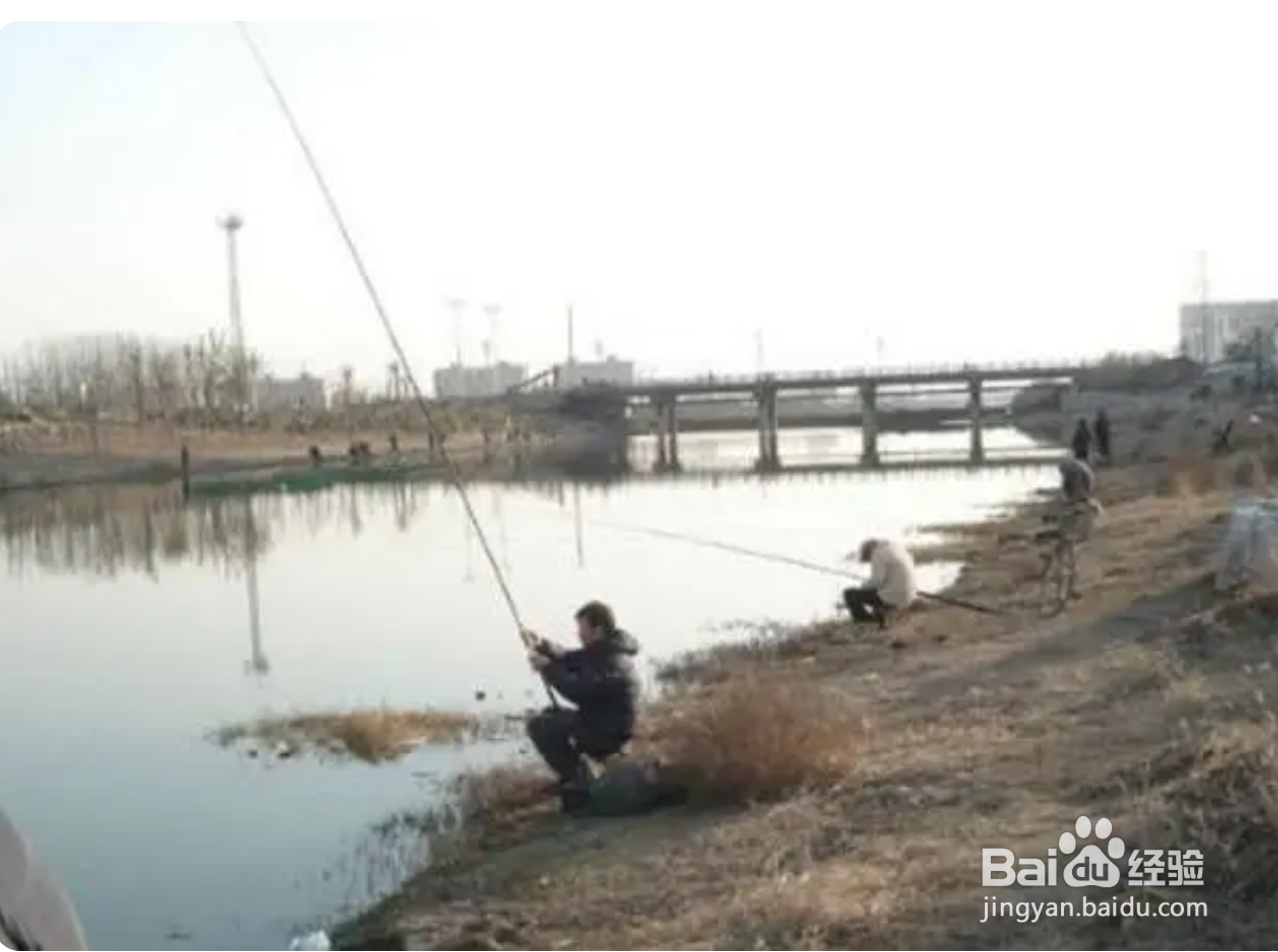 冬天钓鱼怎么钩