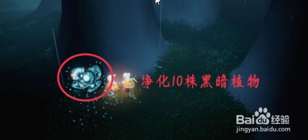 光遇10.13每日任务如何完成