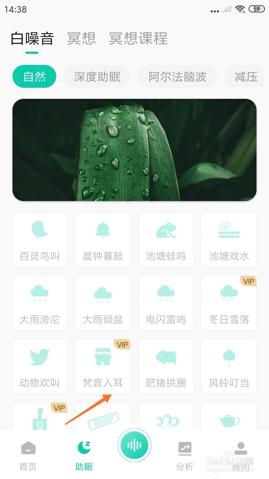 萤火虫睡眠中怎么播放梵音入耳
