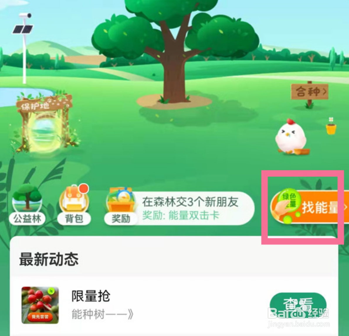 蚂蚁森林能量提醒在哪里设置